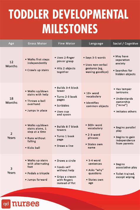 A Guide to Toddlers, Milestones, Development & more .